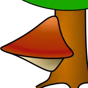 Poreshyménophores poroïdes.