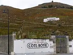 Parcelles du vignoble de la Côte-Blonde