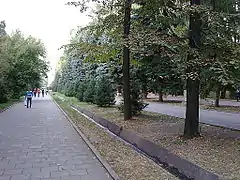 Une autre allée du parc.