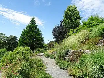 Arboretum Makču Pikču.