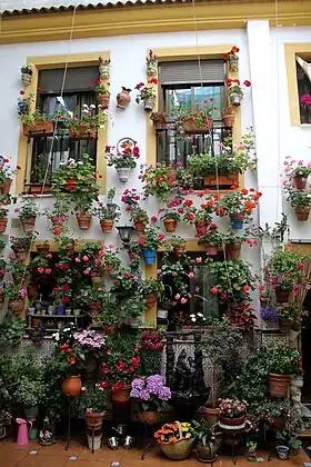 Image illustrative de l’article Fête des patios de Cordoue