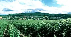 Image illustrative de l’article Mâconnais