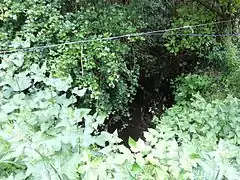 Photographie du Petit Don.