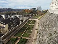 Photographie en couleurs d'un jardin.