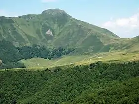 La face Sud du puy de Peyre-Arse