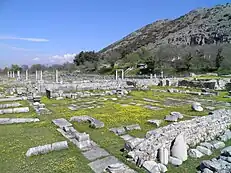 cour dallée avec herbes