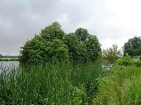 Vue de l'île, vers 2008.