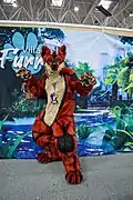 La fursuiteur français Akha.