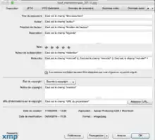 Grille de saisie des métadonnées dans Adobe Photoshop CS