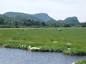 Le pic Champlain vu depuis le nord-est, avec le marais de la Pointe-aux-Épinettes en avant-plan