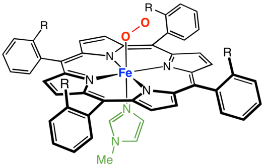 Exemple de porphyrine à palissade complexée avec du fer, les sites de coordination axiaux étant occupés par la méthylimidazole (en vert) et l'oxygène.