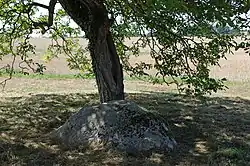 Image illustrative de l’article Pierre Saint-Martin (Luzillé)