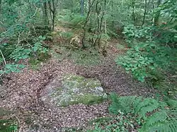 Pierre Tournante, Bosgouet