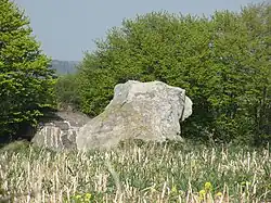 Image illustrative de l’article Pierres Martine