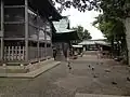 鳩