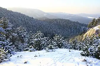 Le massif du Pilis vu de Nagykovácsi