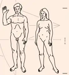 Dessin d'un homme et d'une femme vus de face, nus, l'homme levant la main droite.