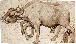 Buffles, par Pisanello (vers 1420-1440)
