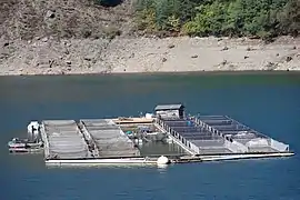 Vue de la pisciculture sur le lac en 2009.