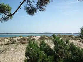 Une plage à la pointe de Gatseau.