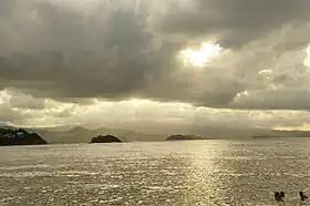 Tartane (Martinique)