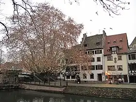 Image illustrative de l’article Quai de la Bruche