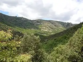 Vue du plateau de Montselgues depuis la vallée de la Thines.