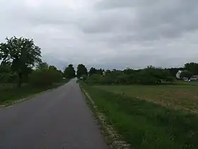 Podmieście (Głowaczów)