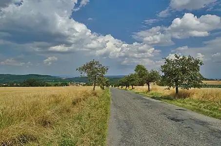Vue de Ptení depuis la route d'Holubice.