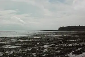 Pointe Isère, limite entre la mangrove (zone C) et la plage (zone A)