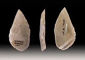 Pointe moustérienne(Muséum de Toulouse).