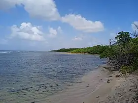 Pointe Plate en novembre 2023