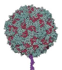 Boule dont la surface comprend de petites formes géométriques colorés.