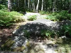 Image illustrative de l’article Polissoir de la Tour du Lay