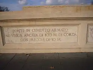 Pont en béton armé avec une arche unique de 100 m de portée et une flèche de 10 m.