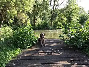 Parc Saint Pierre - Pintemps 2016