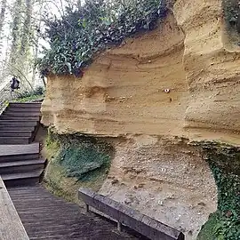 Falaise de Pont-Pourquey en bord de ruisseau.