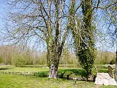 Prairie de la Porte.