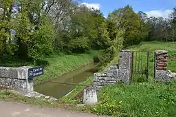 Près de l'étang de Baye, Bazolles, Nièvre.