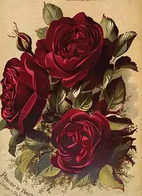 Image illustrative de l’article Princesse de Béarn