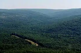 Vue du mont Taum Sauk.