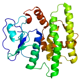 Image illustrative de l’article GSTO1