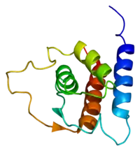 P600; IL-13; ALRH; BHR1; MGC116786; MGC116788; MGC116789