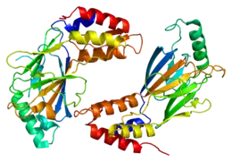 Image illustrative de l’article IRF3
