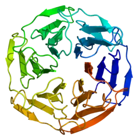 Image illustrative de l’article KEAP1