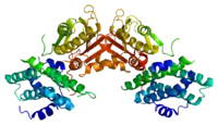 Image illustrative de l’article Pyruvate déshydrogénase kinase