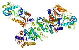 Image illustrative de l’article Sirtuine 5