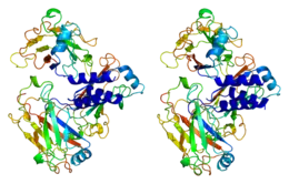 Image illustrative de l’article TRAF2