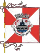 Drapeau de Montemor-o-Novo