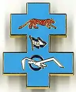 Image illustrative de l’article Escadron de drones 2/33 Savoie